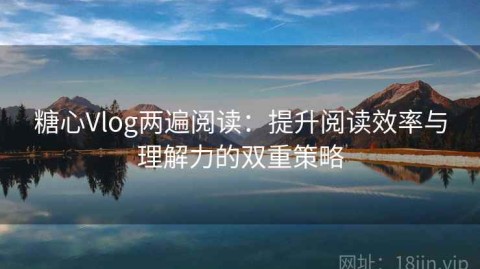 糖心Vlog两遍阅读：提升阅读效率与理解力的双重策略