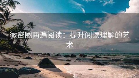 微密圈两遍阅读：提升阅读理解的艺术