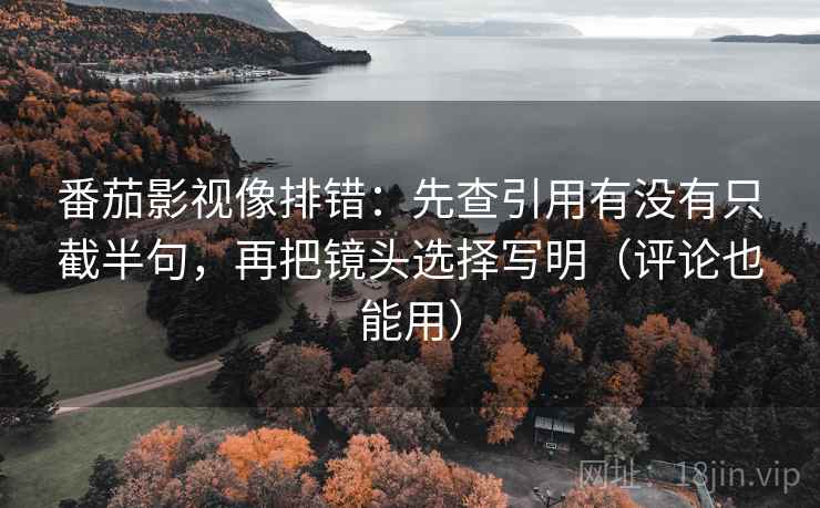 番茄影视像排错：先查引用有没有只截半句，再把镜头选择写明（评论也能用）